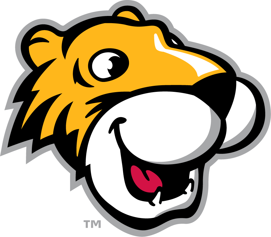 Towson Tigers 2002-Pres Mascot Logo v2 iron on transfers for clothing